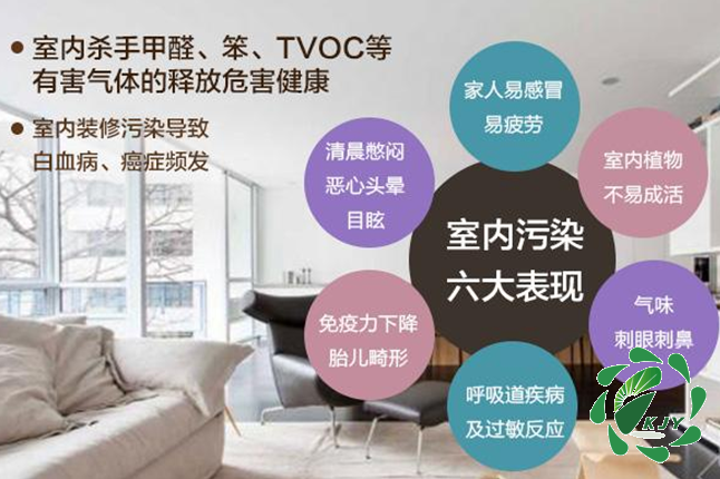 甲醛真可怕，貼壁紙竟然也會導致甲醛中毒