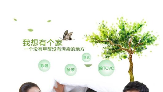 效果好、專業的光觸媒除甲醛產品有那些？